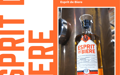 Le FOCUS sur notre bel ESPRIT DE BIÈRE !