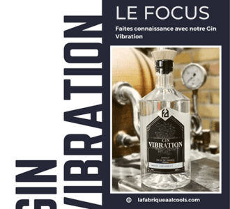 Le FOCUS sur notre Gin Vibration