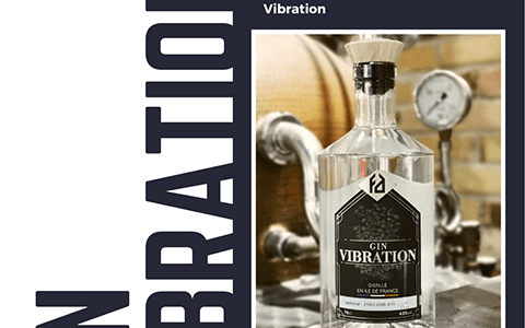 Le FOCUS sur notre Gin Vibration