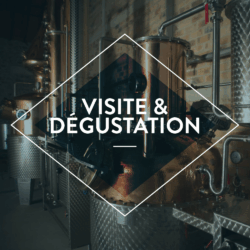 Visite de la distillerie et dégustation