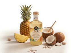 LES ARRANGÉS ANANAS - NOIX DE COCO La Fabrique à Alcools