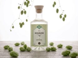 GIN NOLBUOH #1 - HOUBLON CENTENNIAL