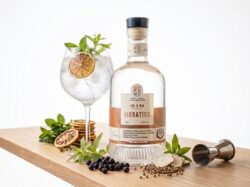 GIN VIBRATION