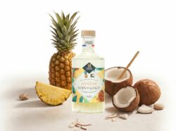 LES ARRANGÉS ANANAS - NOIX DE COCO La Fabrique à Alcools