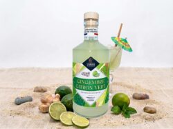 LES ARRANGÉS GINGEMBRE-CITRON VERT   La Fabrique à Alcools