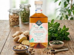 LES ARRANGÉS GINGEMBRE-MENTHE POIVRÉE La Fabrique à Alcools