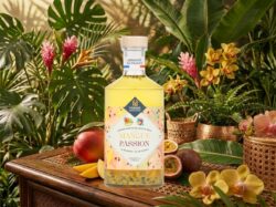 LES ARRANGÉS MANGUE - PASSION La Fabrique à Alcools